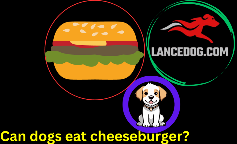 Can dogs eat cheeseburger?