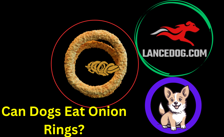 Can Dogs Eat Onion Rings?