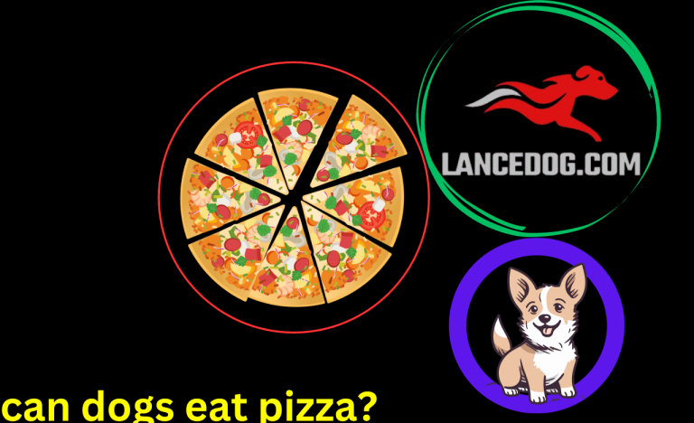 can dogs eat pizza?