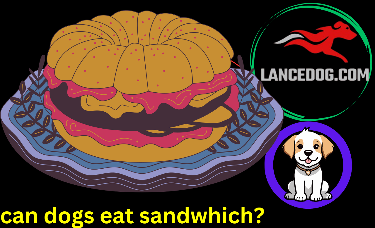 can dogs eat sandwhich?