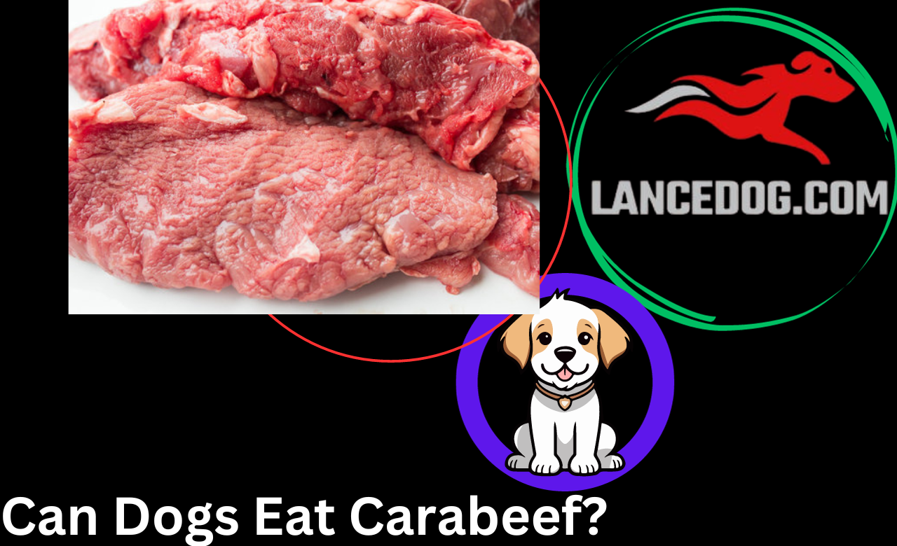 Can Dogs Eat Carabeef?