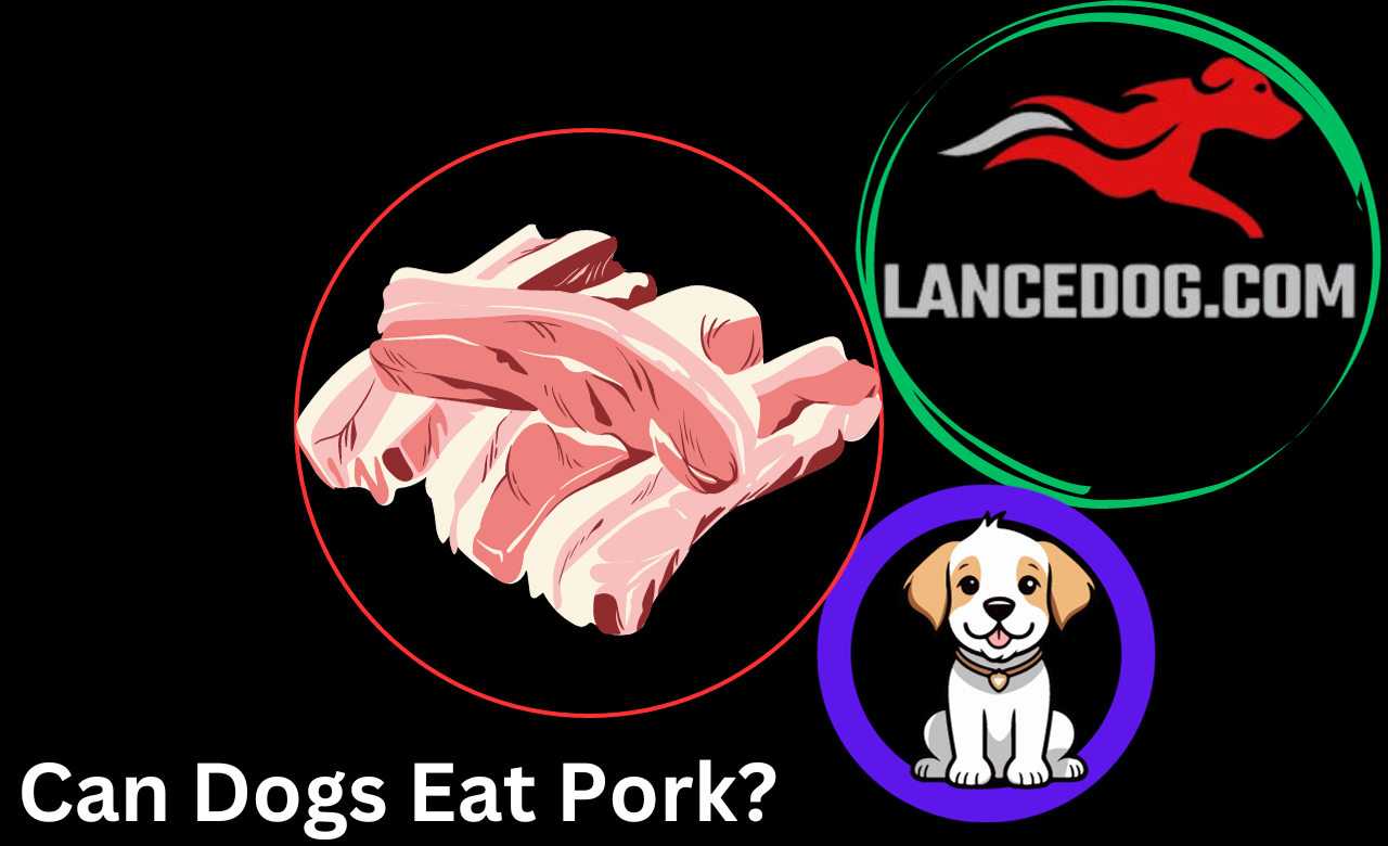 Can Dogs Eat Pork?