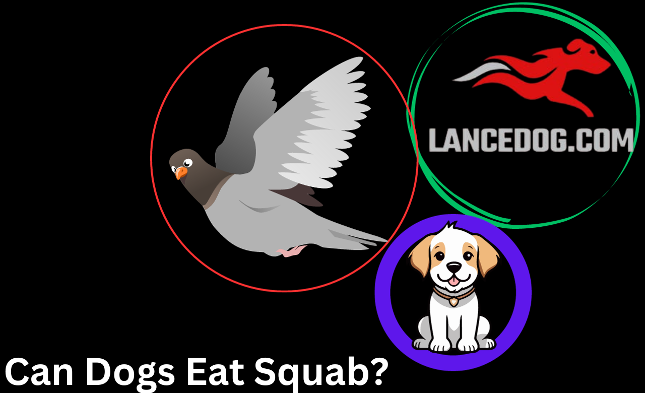 Can Dogs Eat Squab?