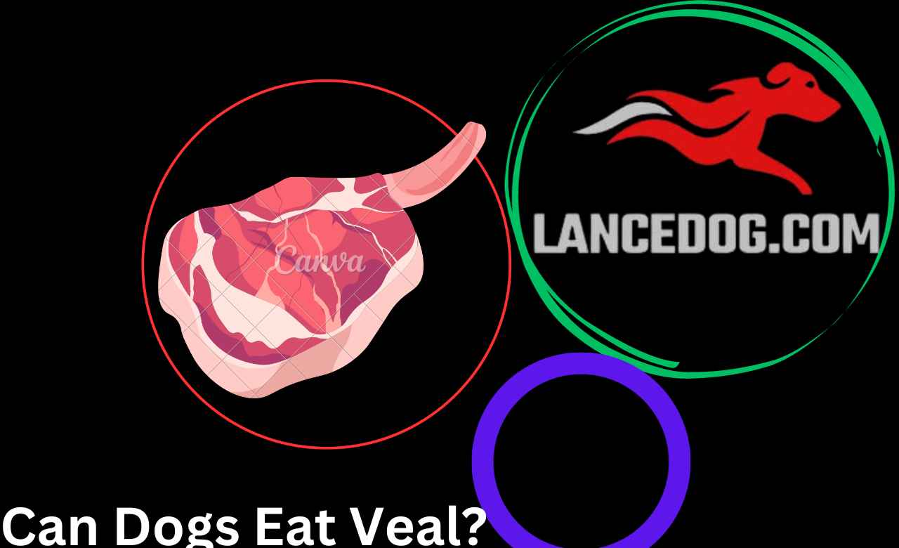 Can Dogs Eat Veal?