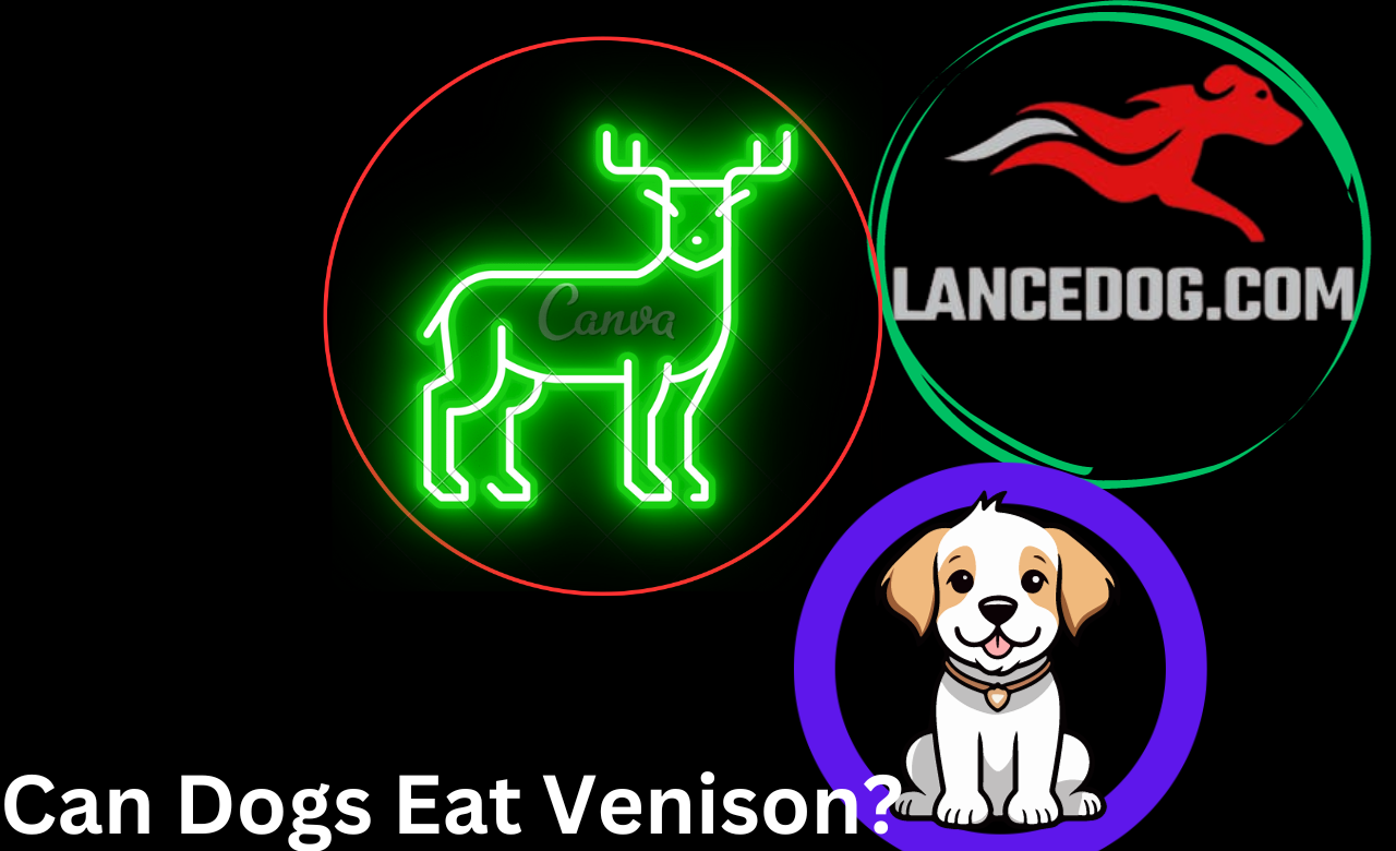 Can Dogs Eat Venison?