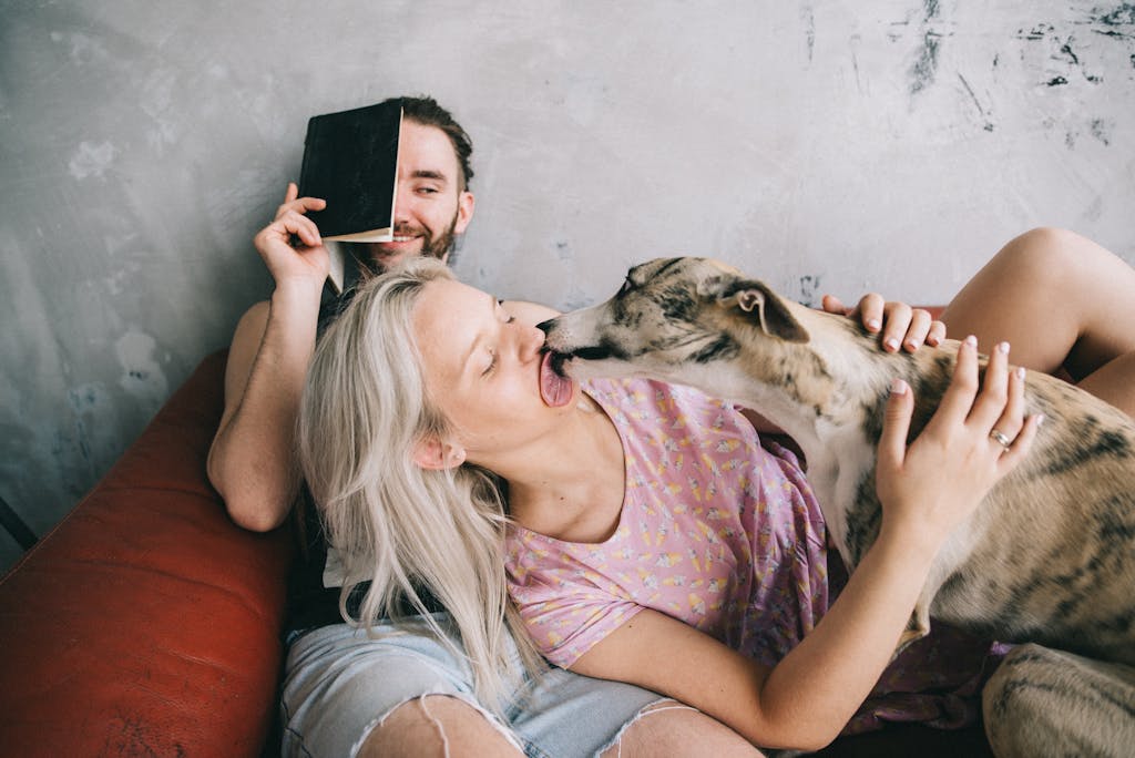 dog acting weird and licking her owner