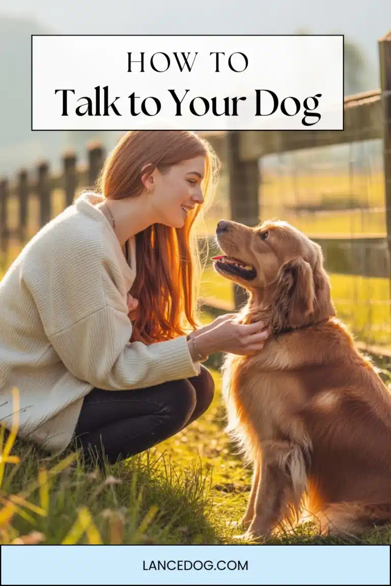 How to Talk to Your Dog: Building an amazing Bond