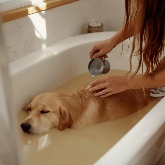 DIY oatmeal bath for dogs IMG01