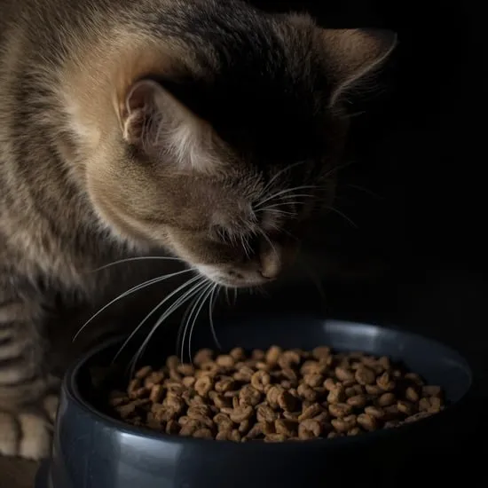 10 cat brands to avoid IMG02