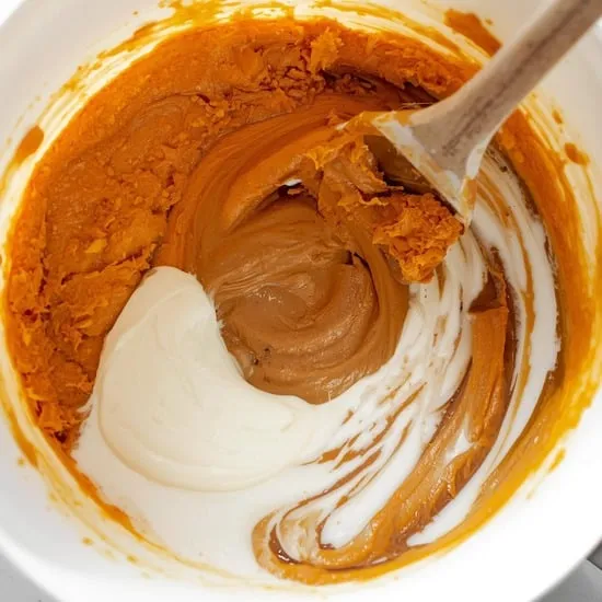 pumpkin peanut butter ice cream for dogs IMG03