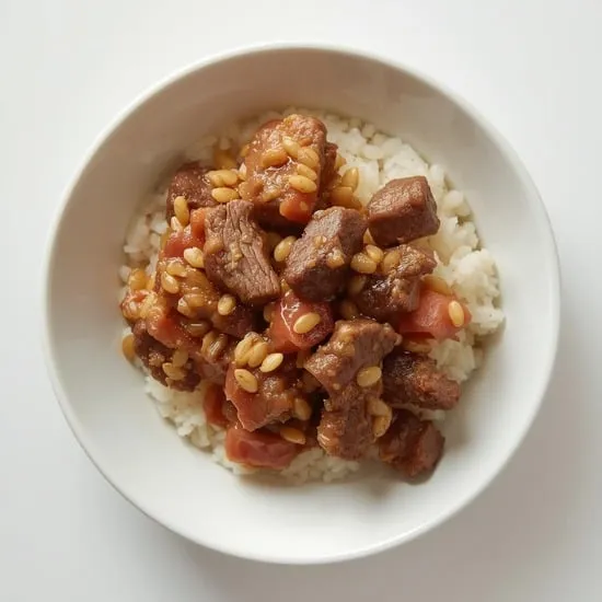 Beef and rice dog food recipe IMG02