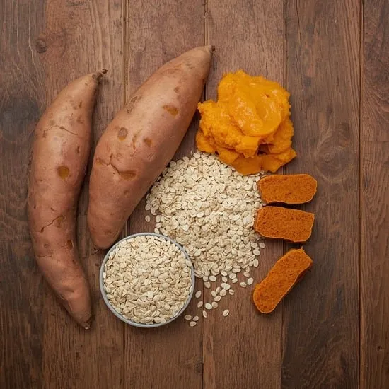 easy sweet potato oat square dog treats IMG02