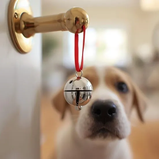 Teach your puppy to ring a bell IMG02