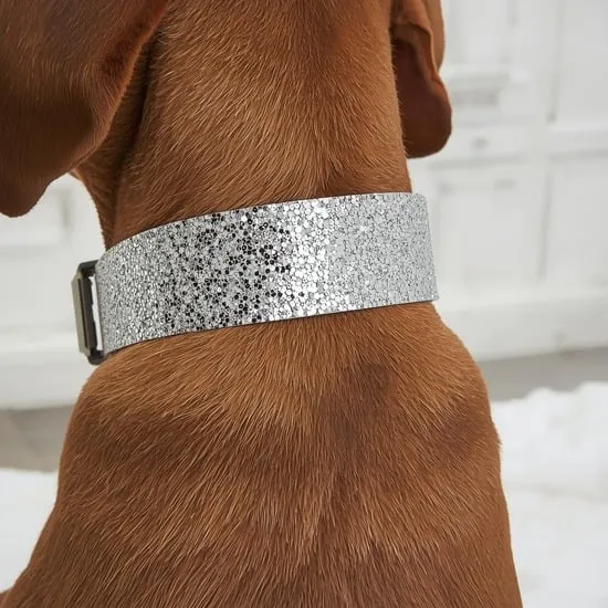 12 new year eve dog outfit ideas IMG03