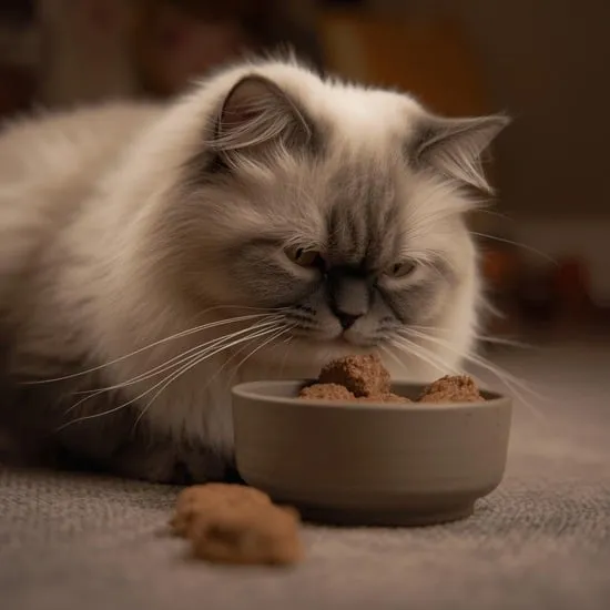 6 diy cat food recipes with ground beef IMG03
