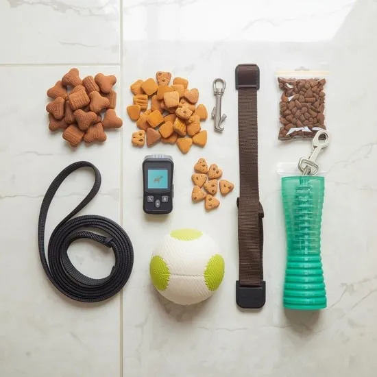 can you actually train your dog at home IMG04