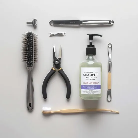 vet approved essentials every new dog owner needs IMG05