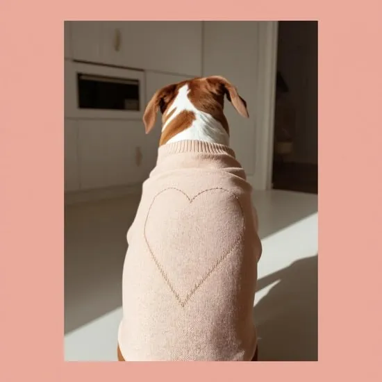 12 cute valentine sweater outfits for dogs IMG06