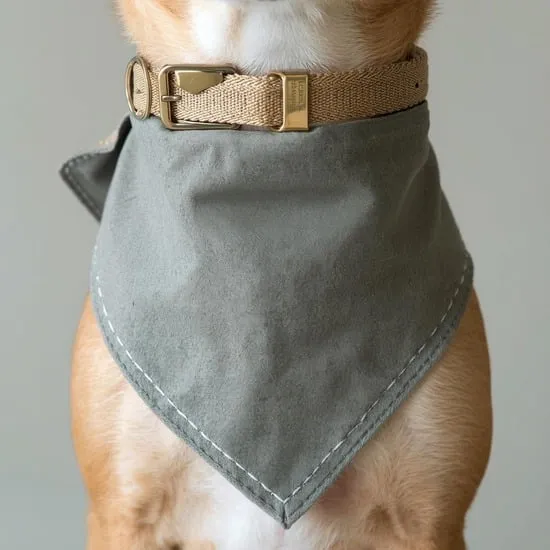 how to sew a dog bandana IMG06