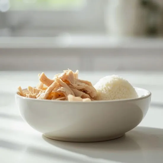 homemade cat food healthy recipes IMG02