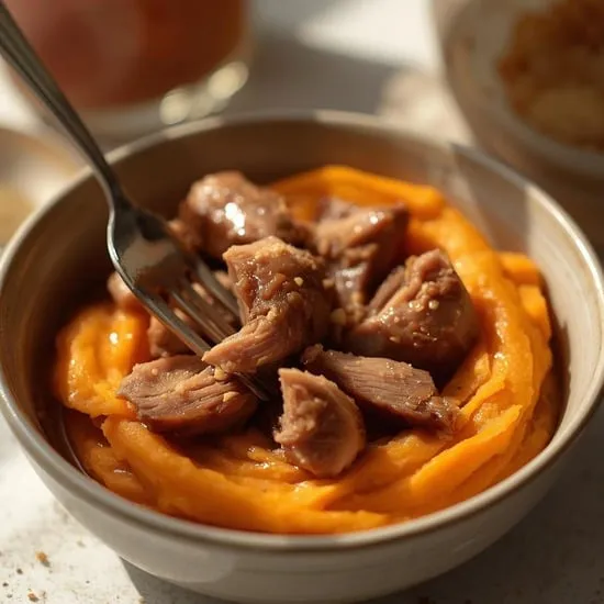 6 cat meal ideas with duck IMG02