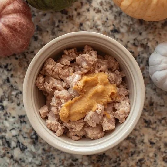 homemade cat food healthy recipes IMG03