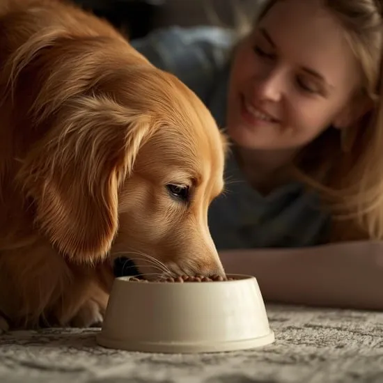 the truth about grain free raw and other fancy dog diets IMG05