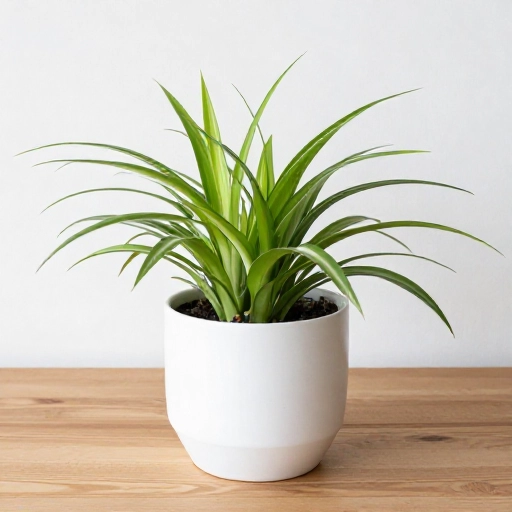 13 Cat Safe House Plants That Improve Air Quality