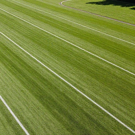 10 Game-Changing Dog Run Layouts For Large Yards That Your Pup Will Love